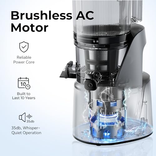 EanOruus 3-in-1 Cold Press Juicer Machine