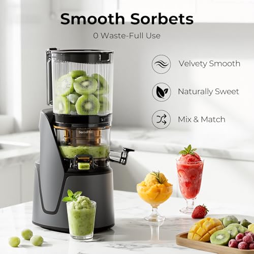 EanOruus 3-in-1 Cold Press Juicer Machine