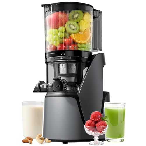 EanOruus 3-in-1 Cold Press Juicer Machine