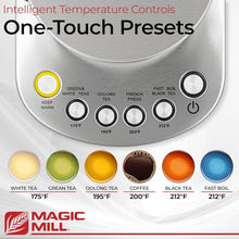 Magic Mill Pro 1.7L Electric Kettle with Tea Infuser