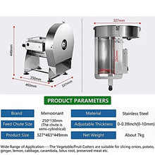 Commercial Electric Fruit & Vegetable Slicer and Shredder