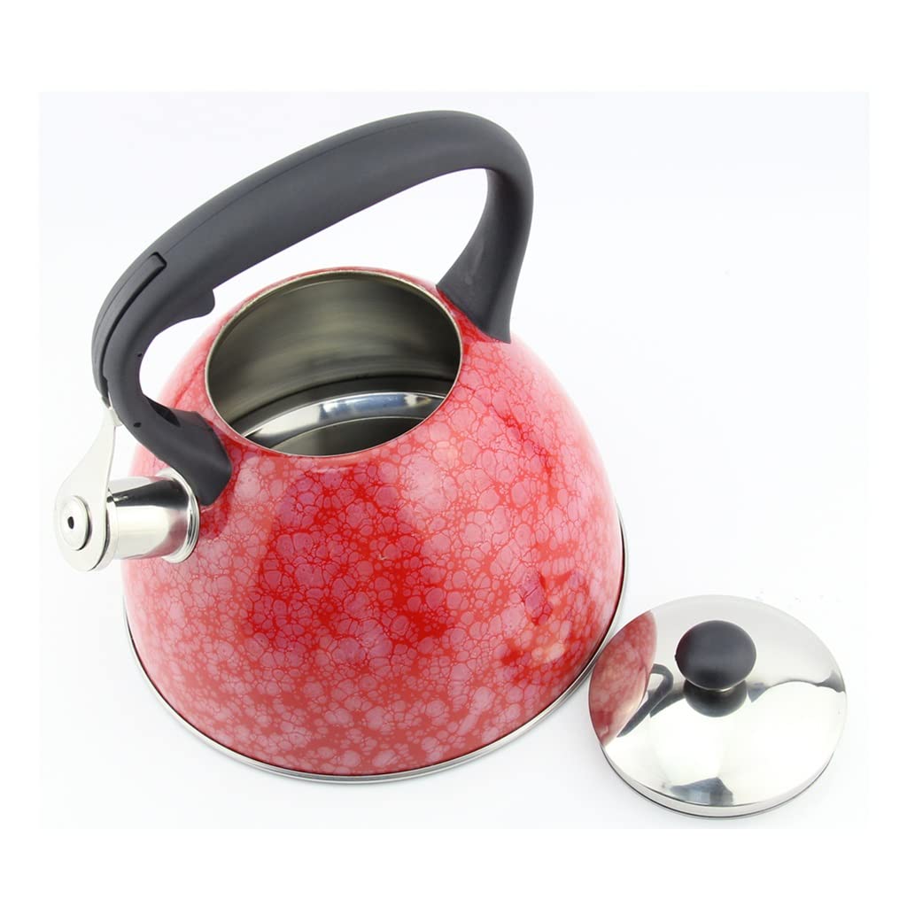 3.0L Patterned Stainless Steel Whistling Tea Kettle