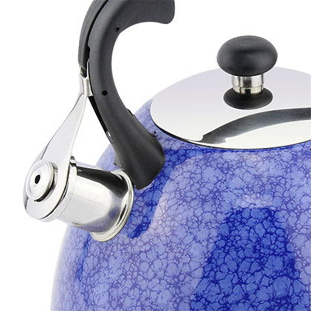 3.0L Patterned Stainless Steel Whistling Tea Kettle
