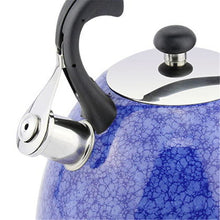 3.0L Patterned Stainless Steel Whistling Tea Kettle