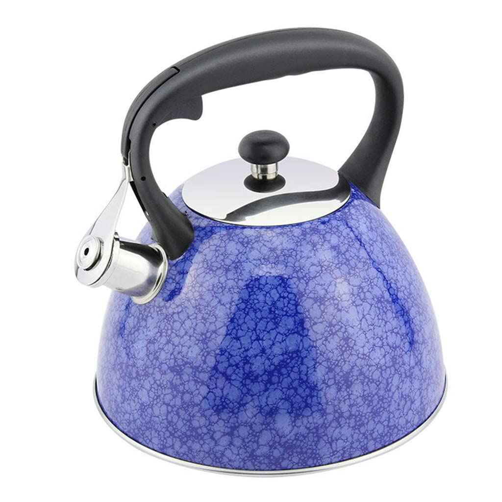 3.0L Patterned Stainless Steel Whistling Tea Kettle