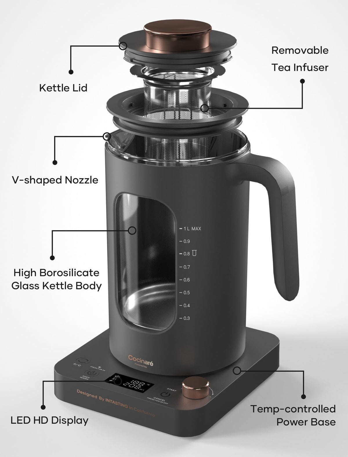 INTASTING 1L Electric Tea Kettle with Infuser & Temp Control