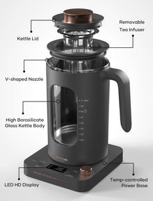 INTASTING 1L Electric Tea Kettle with Infuser & Temp Control