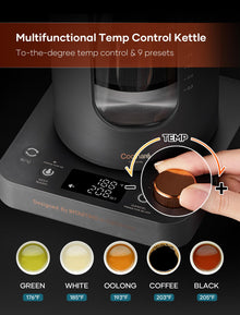 INTASTING 1L Electric Tea Kettle with Infuser & Temp Control