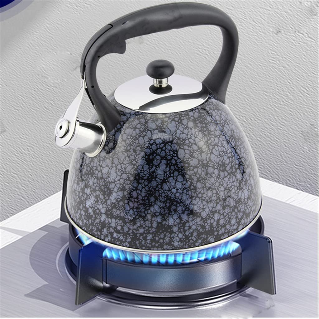 3.0L Patterned Stainless Steel Whistling Tea Kettle