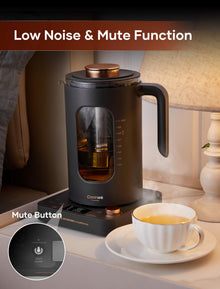 INTASTING 1L Electric Tea Kettle with Infuser & Temp Control