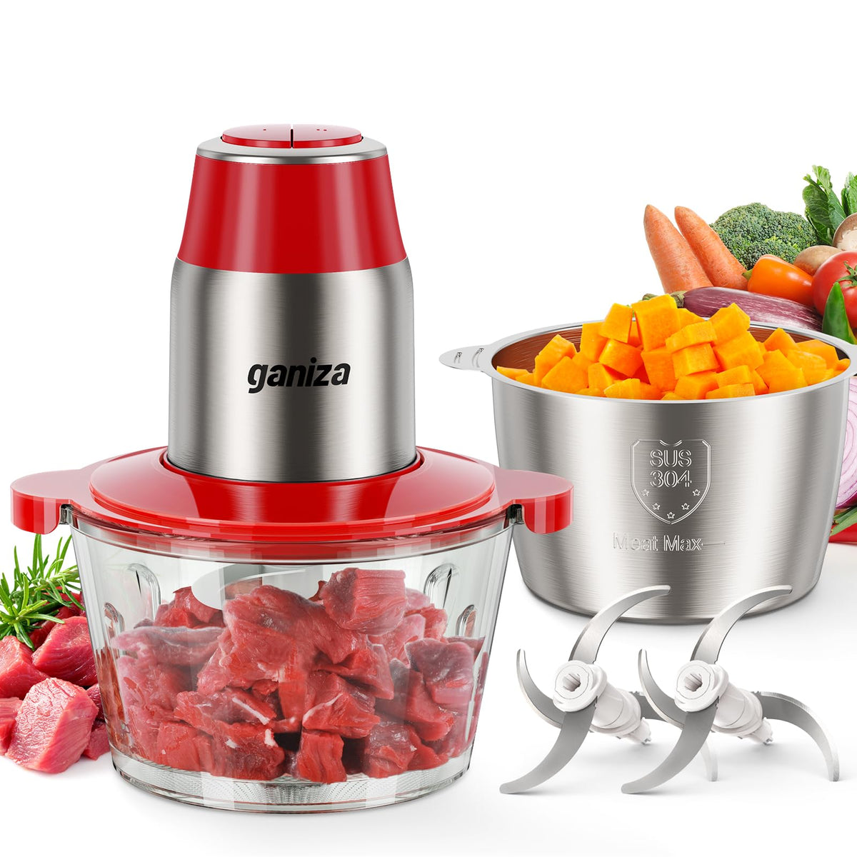 Ganiza 450W Food Processor & Vegetable Chopper with 2 Bowls