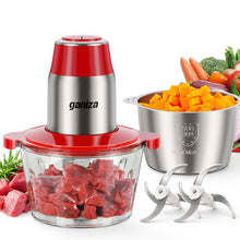 Ganiza 450W Food Processor & Vegetable Chopper with 2 Bowls
