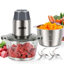Ganiza 450W Food Processor & Vegetable Chopper with 2 Bowls