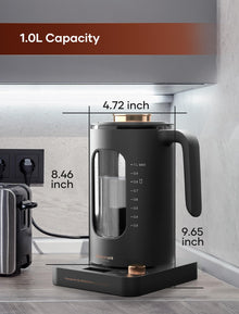 INTASTING 1L Electric Tea Kettle with Infuser & Temp Control