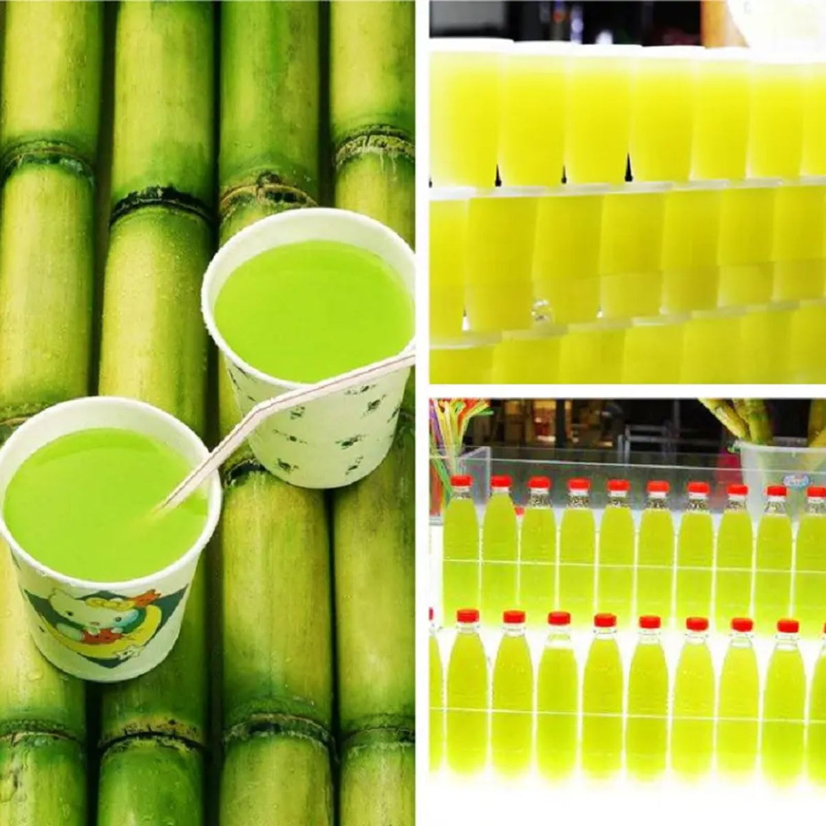 800W Commercial Sugarcane Juicer with 4-Roller Press