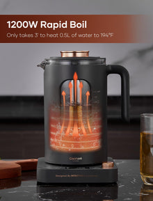 INTASTING 1L Electric Tea Kettle with Infuser & Temp Control